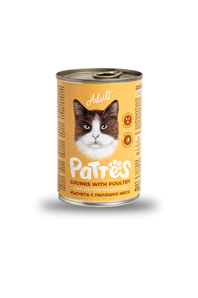 PATTES ПИЛЕШКО 415гр